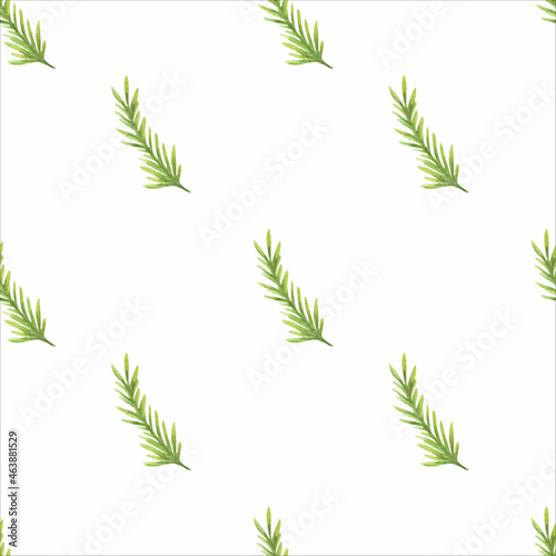 Watercolor pattern with green coniferous branches on a white background. Vector seamless pattern.