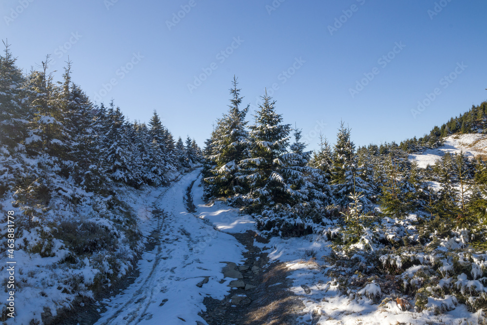 autumn scenery in the mountains autumn scenery in the mountains