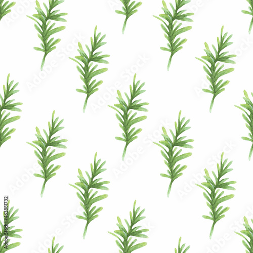 Fototapeta Naklejka Na Ścianę i Meble -  Watercolor pattern with green coniferous branches on a white background. Vector seamless pattern.