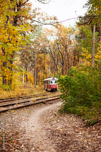 train in the forest
