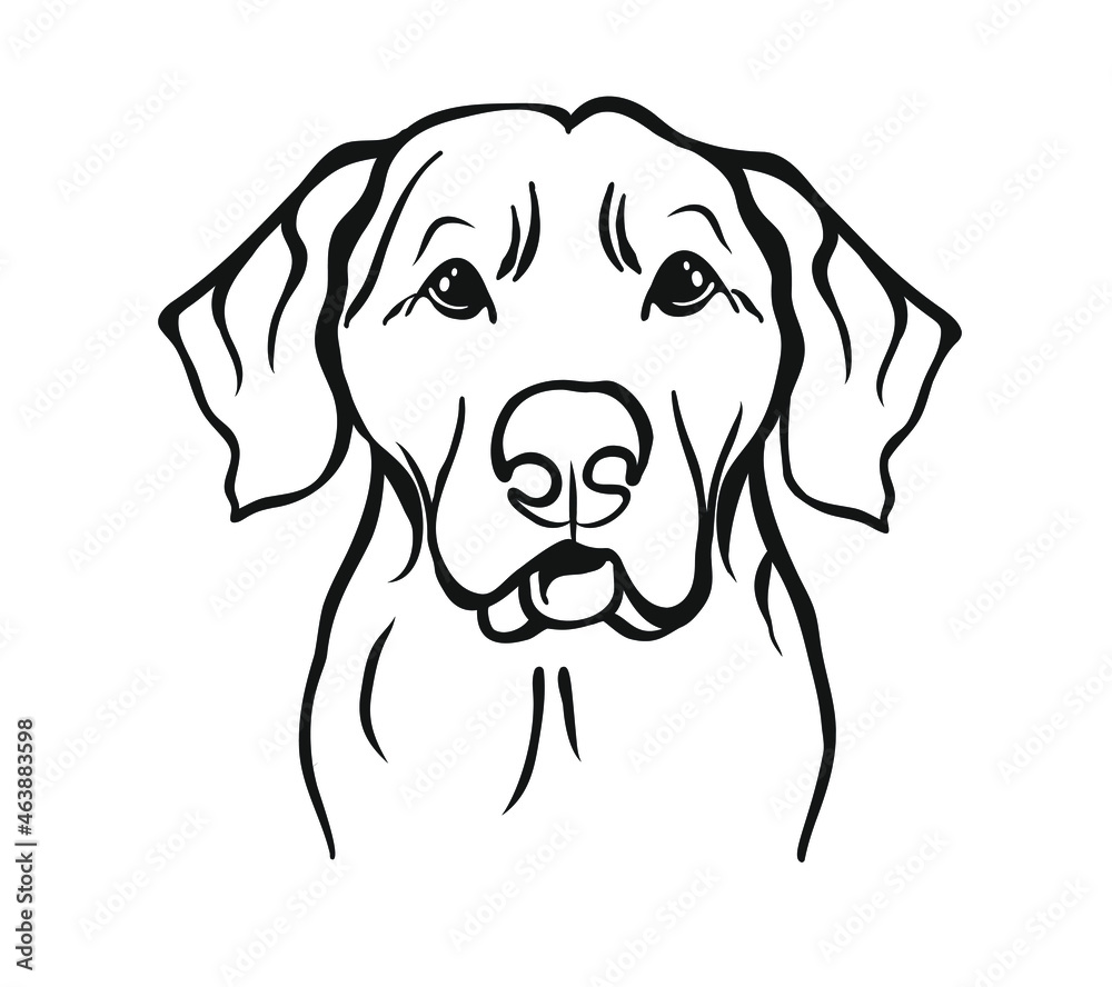 Vector of a dog head on a white background. Pet. Animals. Vector of a dog head on a white background. Pet. Animals.