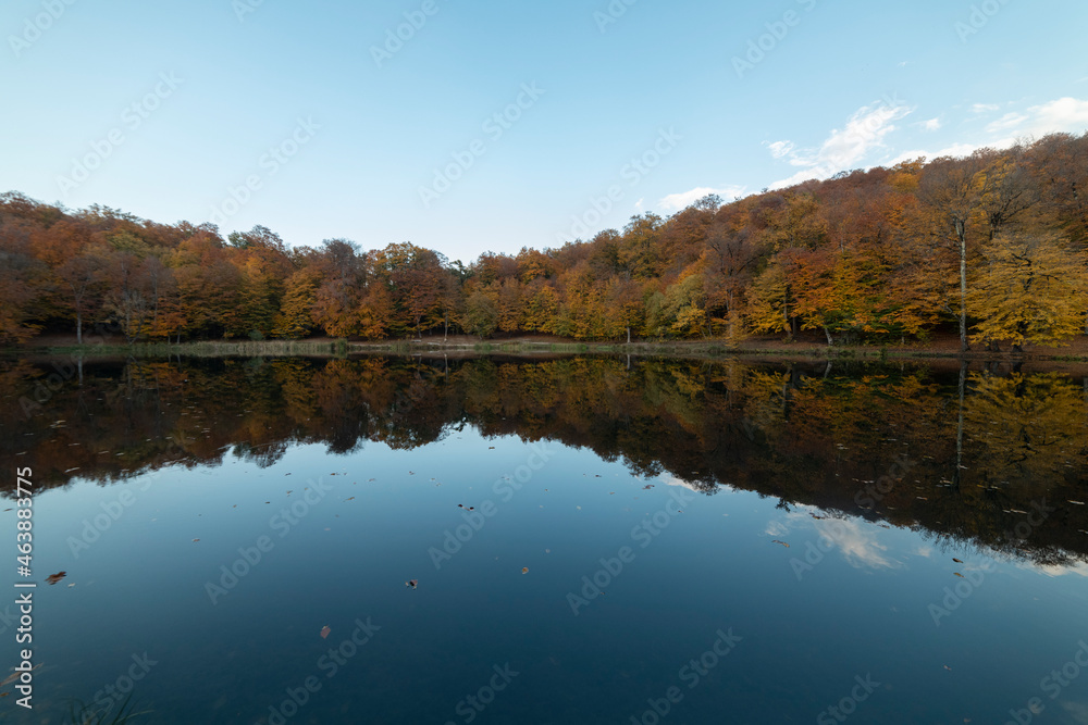 Autumn landscape. Colorful fairy trees and small in the autumn forest under blue sky. Autumn landscape. Colorful fairy trees and small in the autumn forest under blue sky.