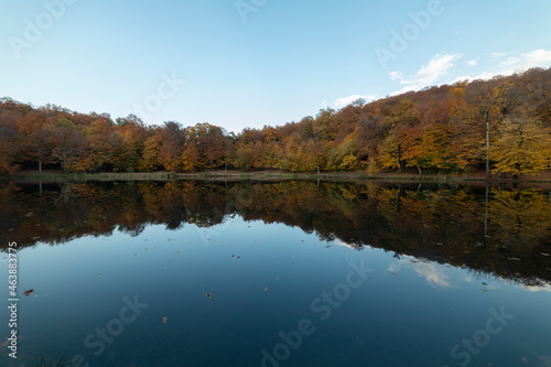 Autumn landscape. Colorful fairy trees and small in the autumn forest under blue sky.