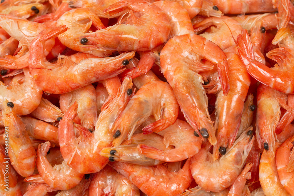Shrimps background texture. A lot of shrimps. Cooked shrimps. Shrimps background texture. A lot of shrimps. Cooked shrimps.
