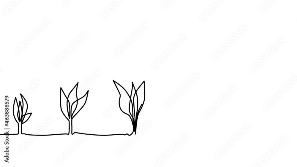 A continuous line of small to large sprouts self-draws. plant growing line art doodle draw process A continuous line of small to large sprouts self-draws. plant growing line art doodle draw process