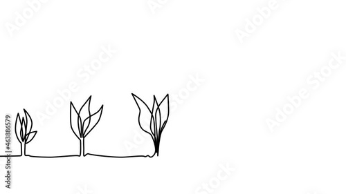 A continuous line of small to large sprouts self-draws. plant growing line art doodle draw process