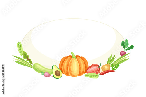 Bright Oval Vegetable Frame with Ripe and Fresh Garden Cultivar Vector Illustration