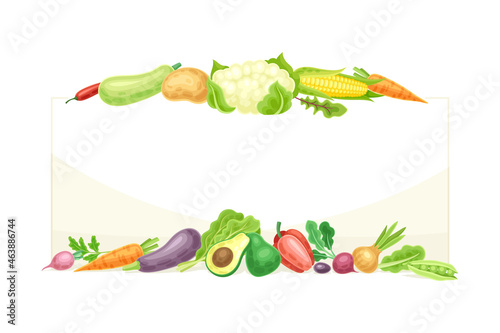 Bright Rectangular Vegetable Frame with Ripe and Fresh Garden Cultivar Vector Illustration