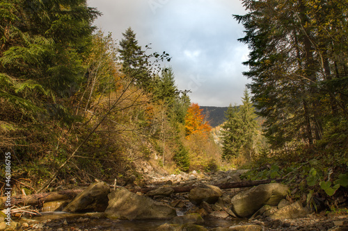 autumn scenery in the mountains