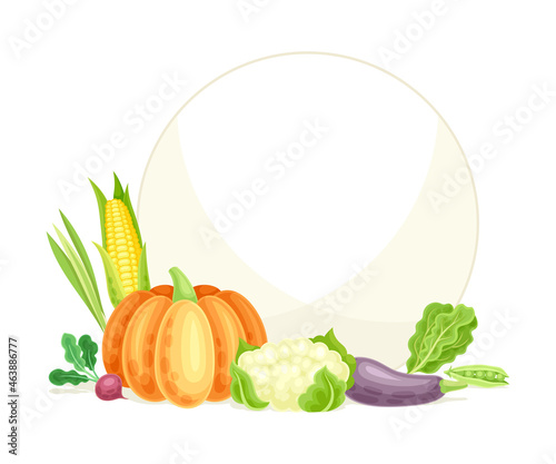 Bright Round Vegetable Frame with Ripe and Fresh Garden Cultivar Vector Illustration