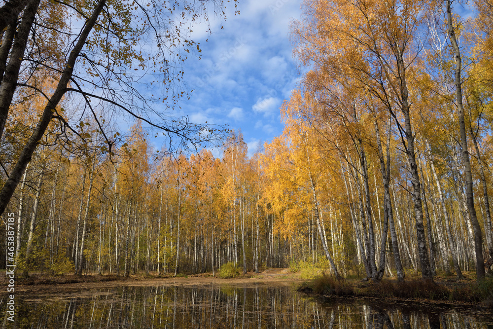 The bright beauty of autumn.
