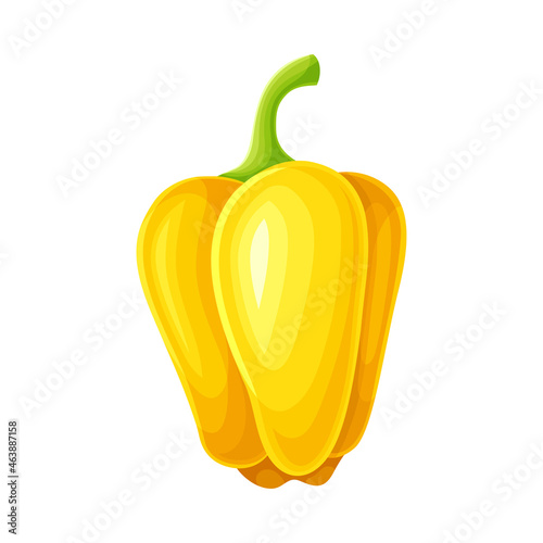 Ripe Yellow Bell Pepper Vegetable as Healthy Raw Food and Garden Cultivar Closeup Vector Illustration