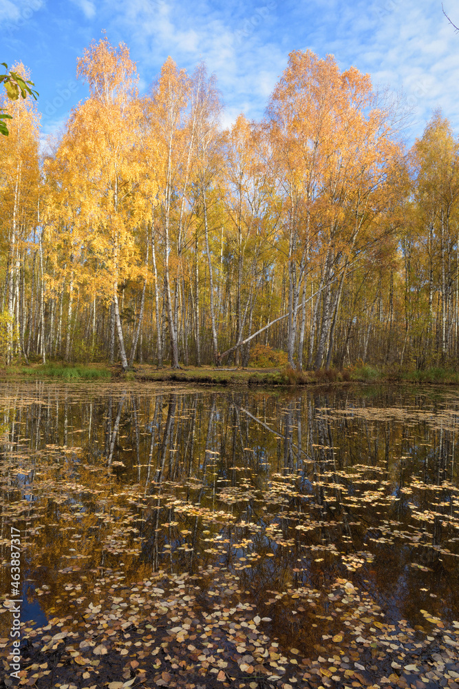 The bright beauty of autumn.