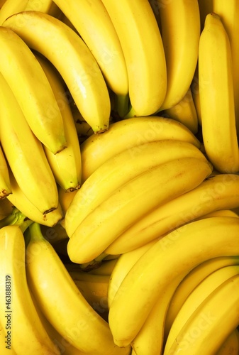 Close-Up of Fresh Yellow Bananas photo