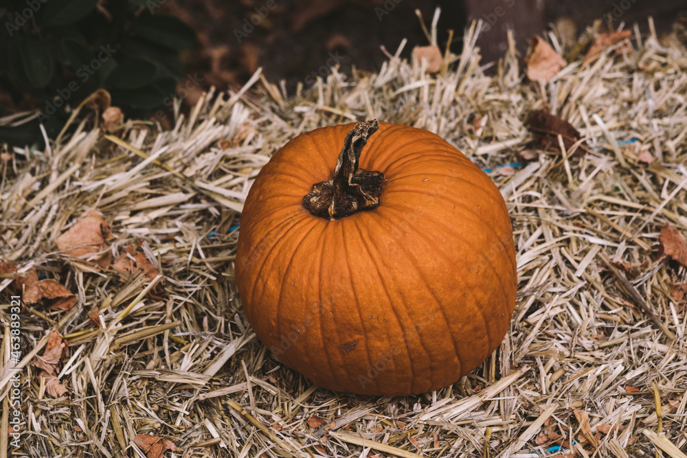 A pumpkin over a block of straw in a rural Halloween scene