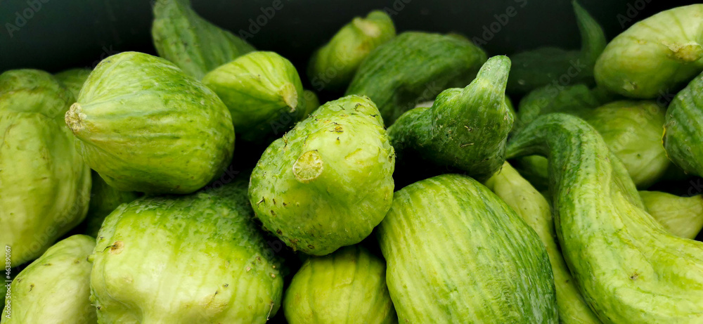 Fototapeta premium Caigua 