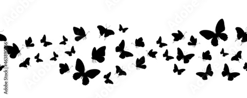 Seamless flock of silhouette black butterflies on white background. Vector