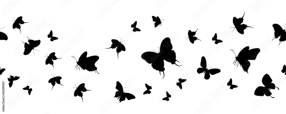 Seamless flock of silhouette black butterflies on white background. Vector
