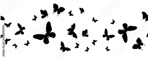 Seamless flock of silhouette black butterflies on white background. Vector