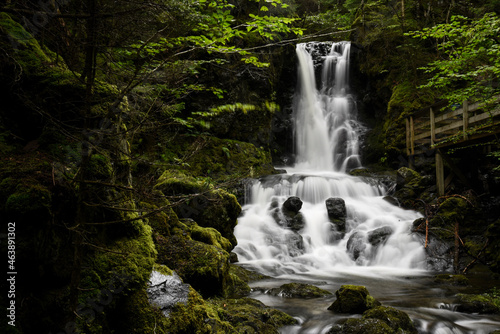 waterfall in the forest