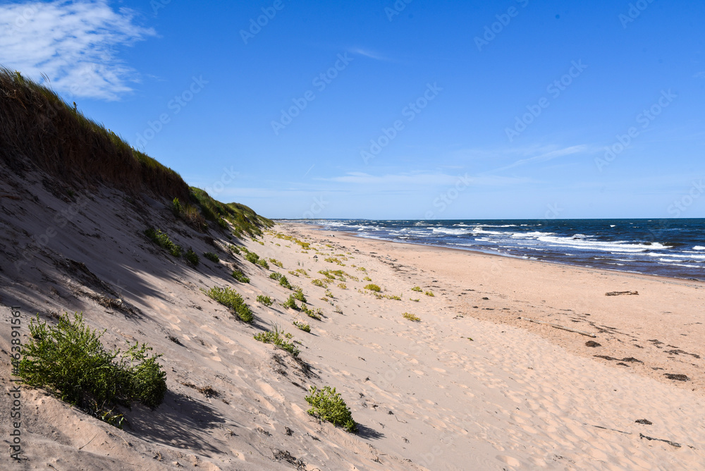 Fototapeta premium beach and sea