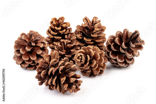 Pine cones isolated on a white background, photography