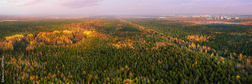 Large autumn forest and distant city aerial panoramic view
