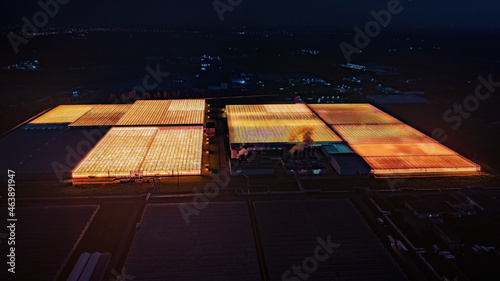 Large illuminated greenhous...