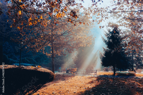 Dikmen Valley in autumn foliage on a foggy morning - Ankara, Turkey
 photo