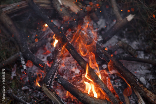Close-up of a campfire. Bonfire.