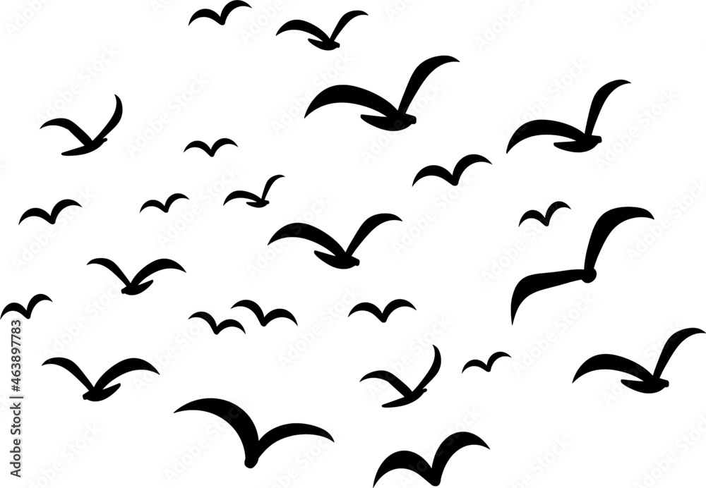 Silhouettes of groups of birds on white. Vector Silhouettes of groups of birds on white. Vector