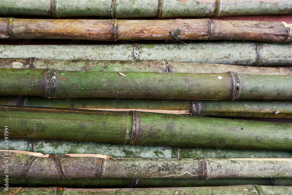 close-up of green bamboo pile close-up of green bamboo pile