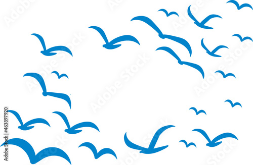 Photography Silhouettes of groups of  birds on white. Vector