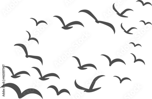 Silhouettes of groups of  birds on white. Vector
