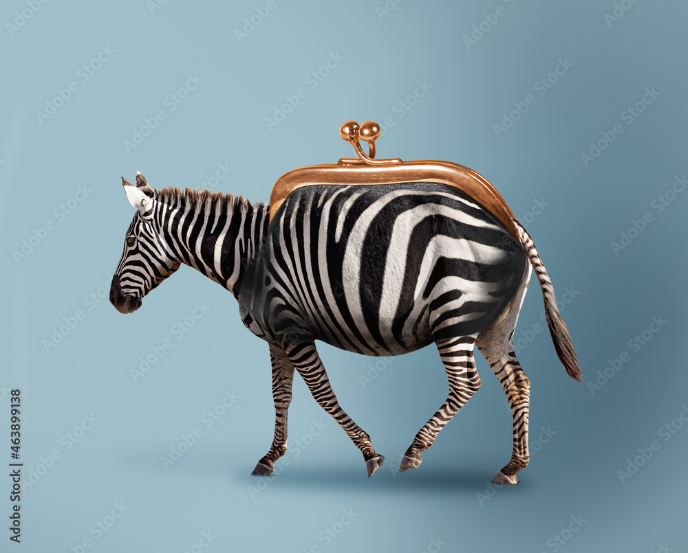 Fototapeta premium Budget safari - happy zebra and wallet concept