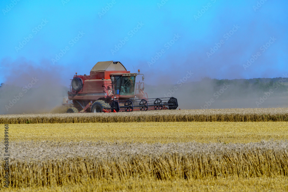 Naklejka premium Paysage campagne 1089