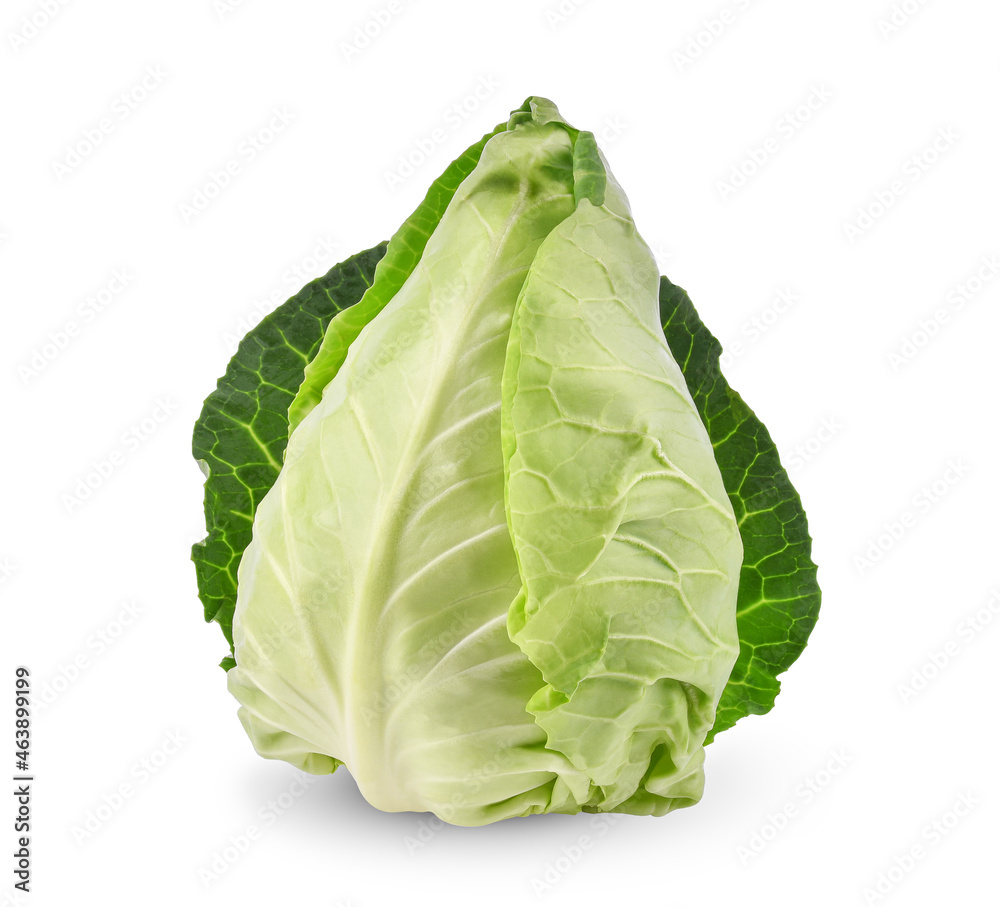 Fresh green pointed cabbage isolated on white background. Fresh green pointed cabbage isolated on white background.