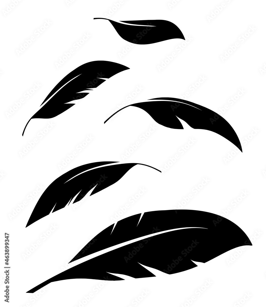 Flock of black feathers falling isolated on white background. Vector Flock of black feathers falling isolated on white background. Vector