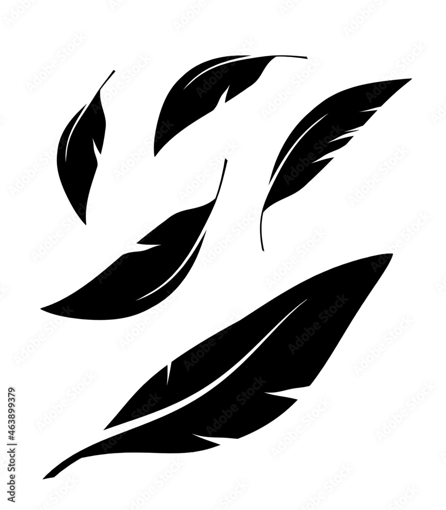 Flock of black feathers falling isolated on white background. Vector