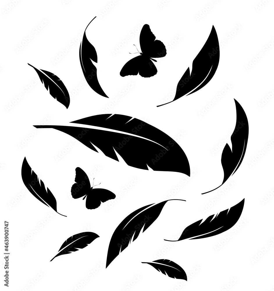 Flock of black feathers and butterflies isolated on white background. Vector