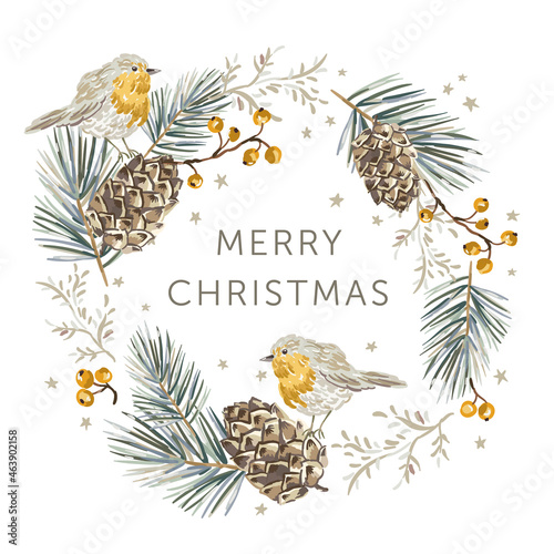 Christmas wreath with robin birds, white background. Green pine, fir twigs, cedar cones, berries, stars. Vector illustration. Nature design. Greeting card, poster template. Winter Xmas