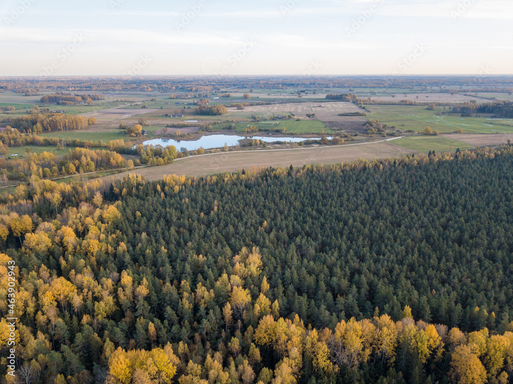 countryside fields and forests in sunset