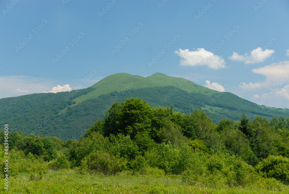 Green mountain meadows, Bieszczady Mountains, Poland