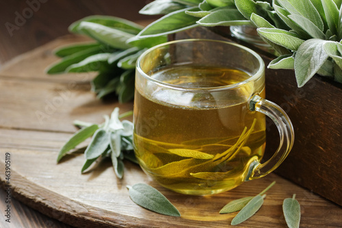 Sage herbal tea or decoction with fresh herb leaves close on rustic wooden background, closeup,  natural medicine and naturopathy concept photo