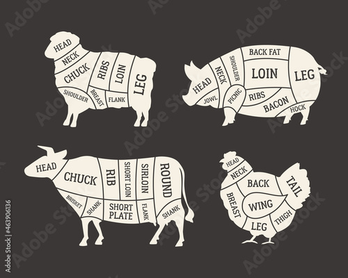 Butcher's meat chart, diagram set. Cuts of Meat. Lamb, Pork, Beef, Chicken meat. Barbecue poster design. Butchery, meat shop, grocery store template. Vector illustration