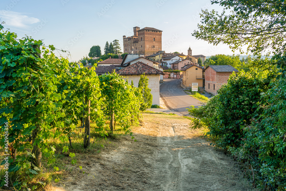 Fototapeta premium The beautiful castle of Grinzane and its vineyards in the Langhe region of Piedmont, Italy.