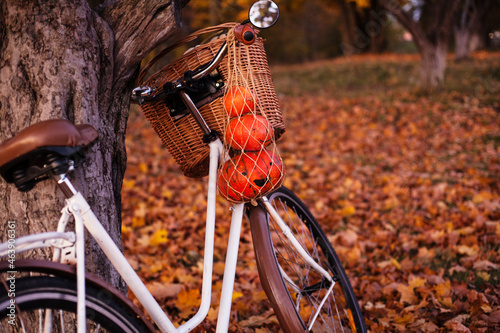 a vintage bicycle with halloween pumpkins.