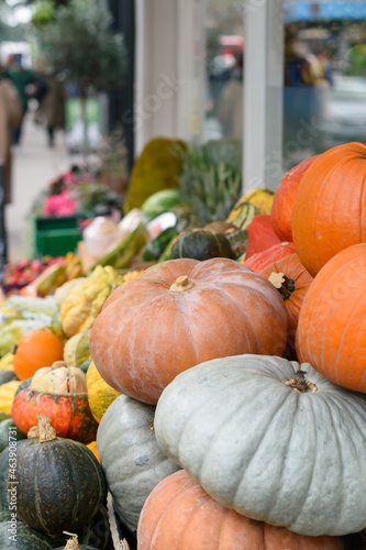 Variety of pumpkins for sale during Thanksgiving and Halloween at street shop