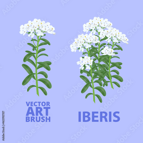 A ready-made Iberis art brush for painting a landscape. Vector illustration.