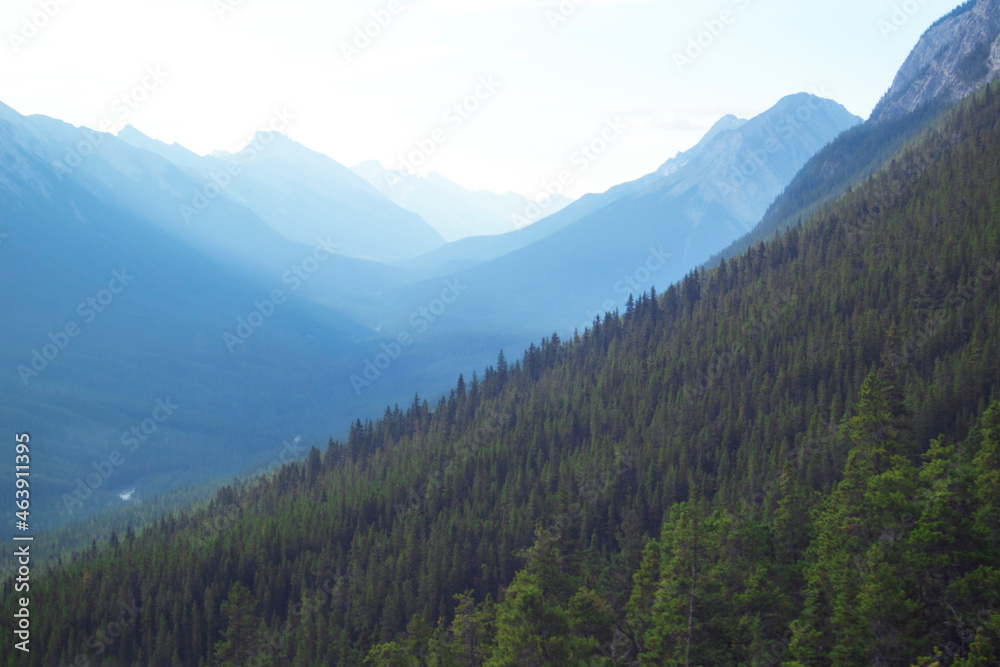 Blue layers of forested mountains